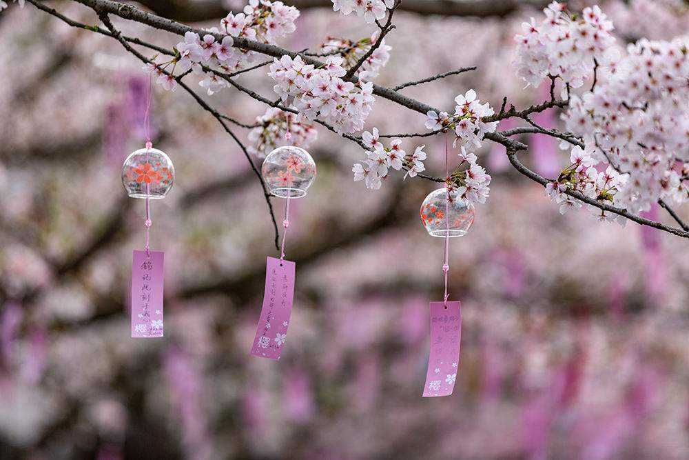 演员周雪菲曝光春日写真 诠释自信魅力眼神气质满分